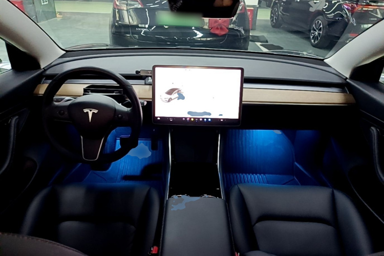 Tesla Model 3 2020 car image #10