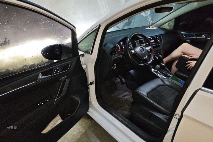 Volkswagen Golf 2019 car image #18
