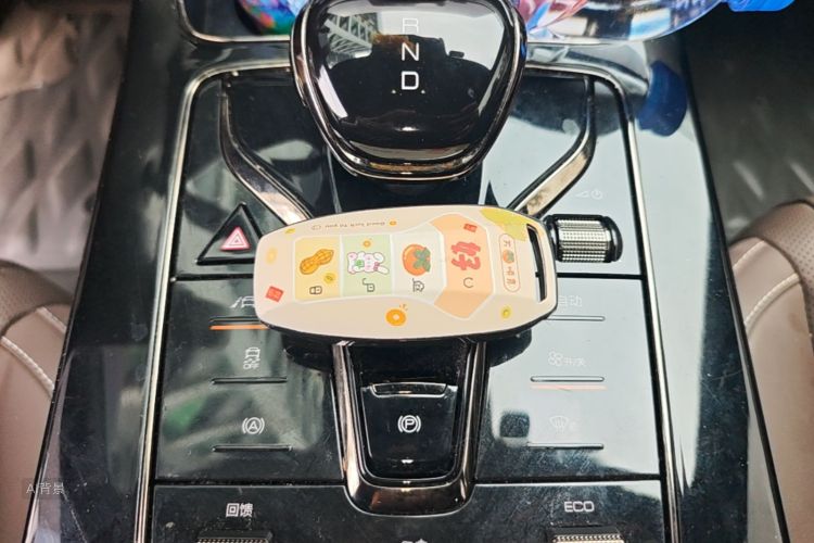 BYD Han 2022 #10 BYD Han 2022 immagine di auto #10
