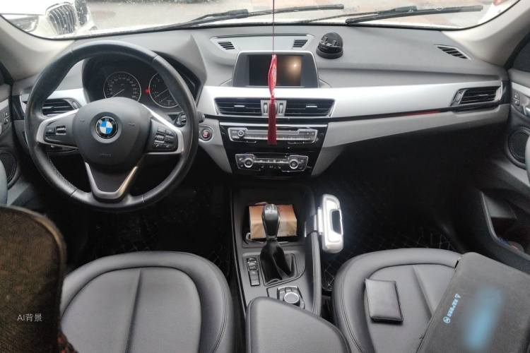 BMW X1 2017 car image #11