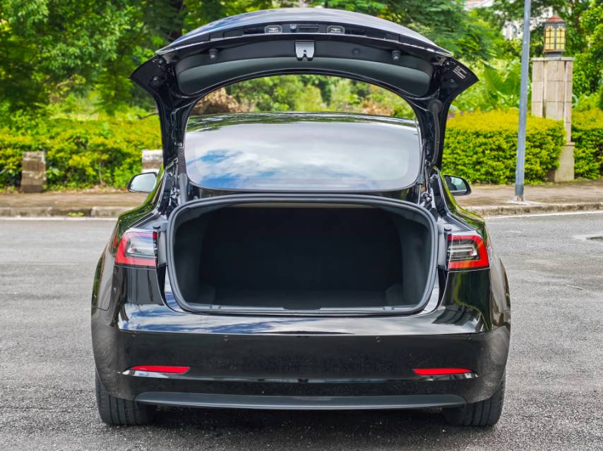 Tesla Model 3 2022 #10 Tesla Model 3 2022 car image #10