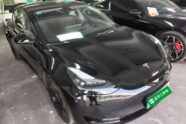 Tesla Model 3 2021 car image #6