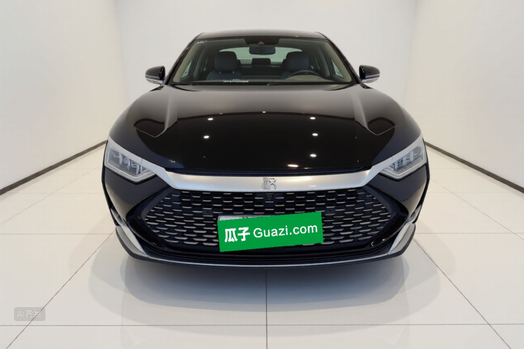 BYD Han 2021 immagine di auto #3