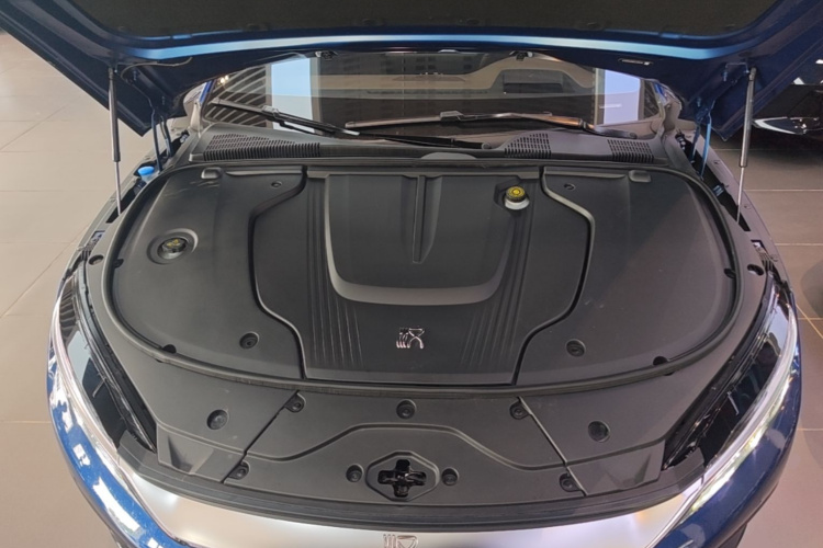 BYD Han 2022 car image #28