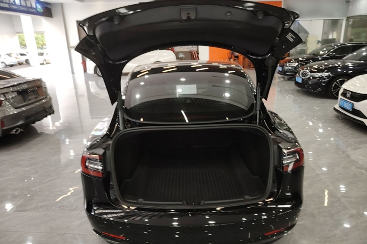 Tesla Model 3 2021 #19 Tesla Model 3 2021 immagine di auto #19