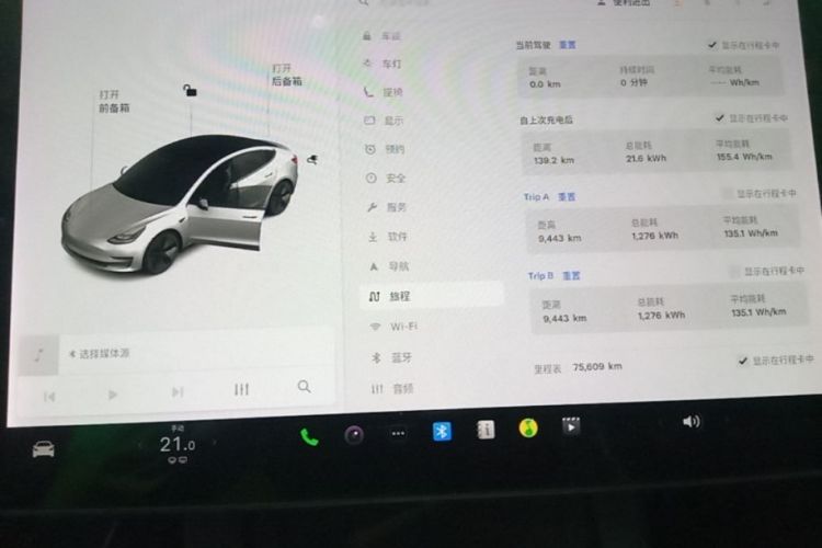 Tesla Model 3 2021 car image #12