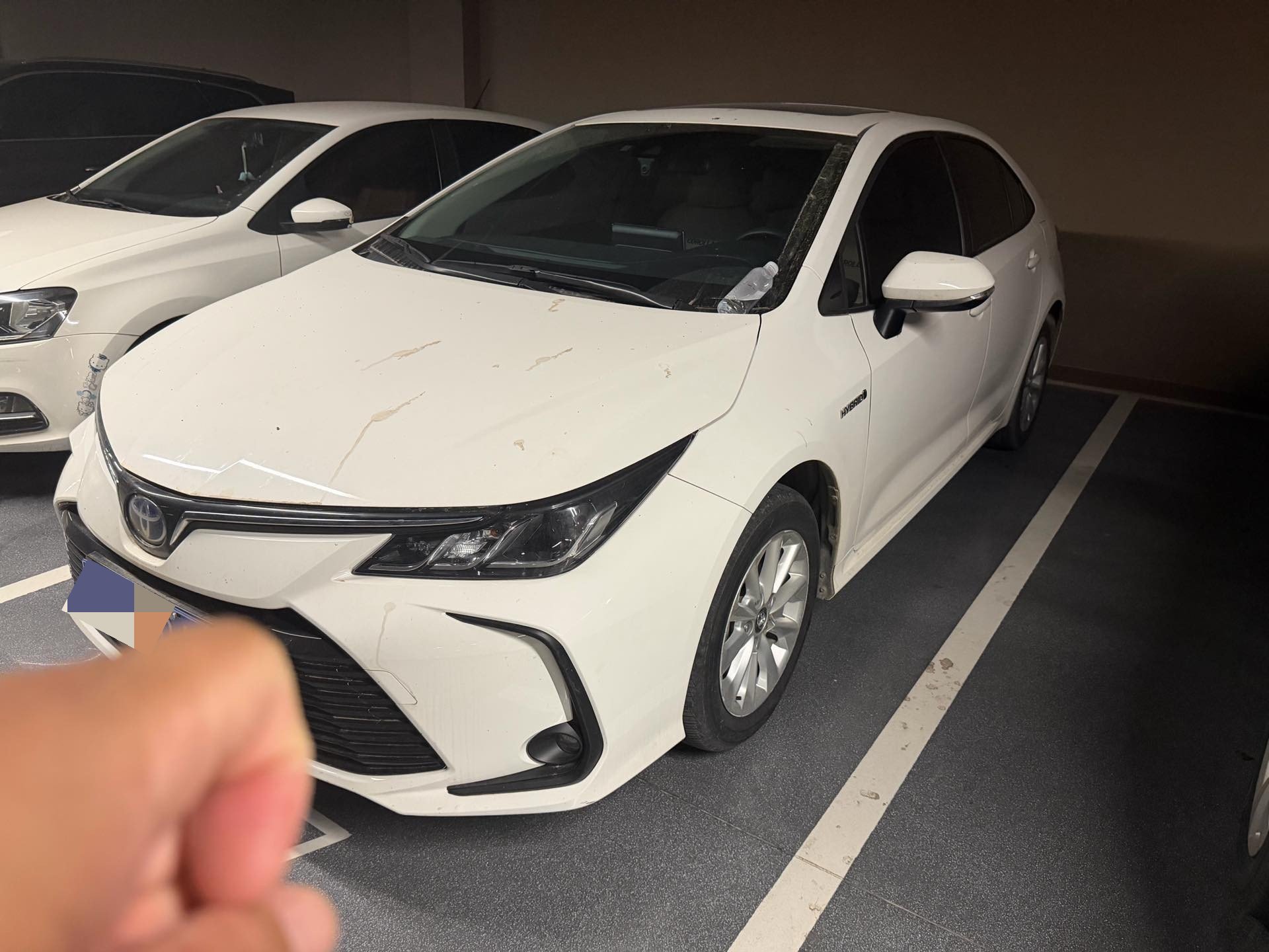 Toyota Corolla 2022 car image 