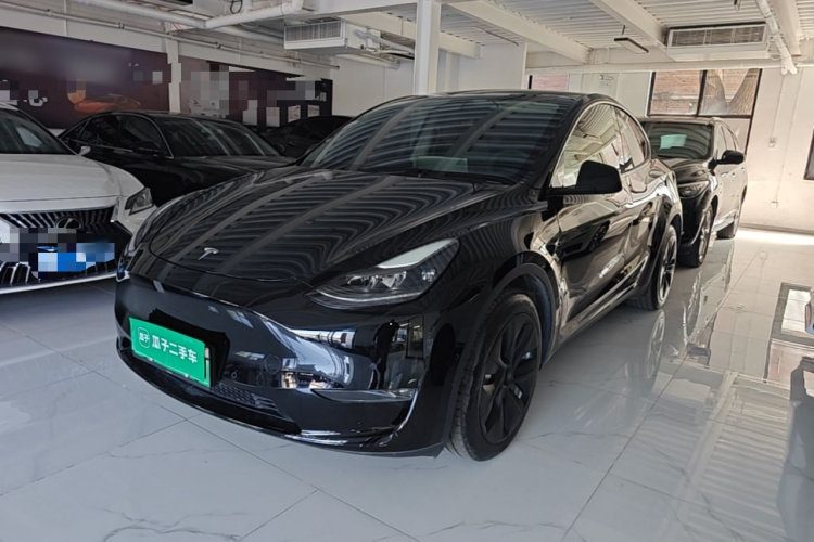 Tesla Model Y 2021 #2 Tesla Model Y 2021 car image #2