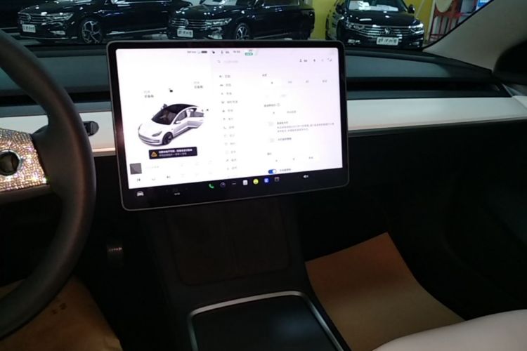 Tesla Model 3 2021 #13 Tesla Model 3 2021 car image #13