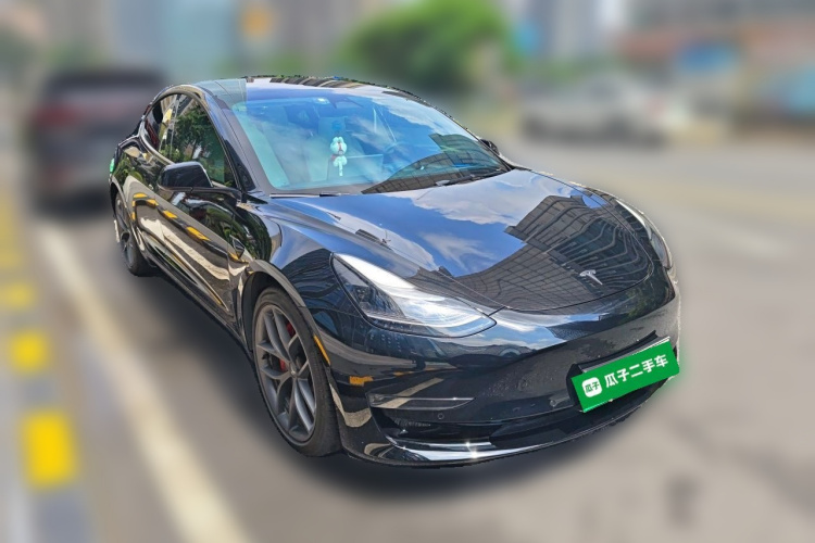 Tesla Model 3 2021 car image #4