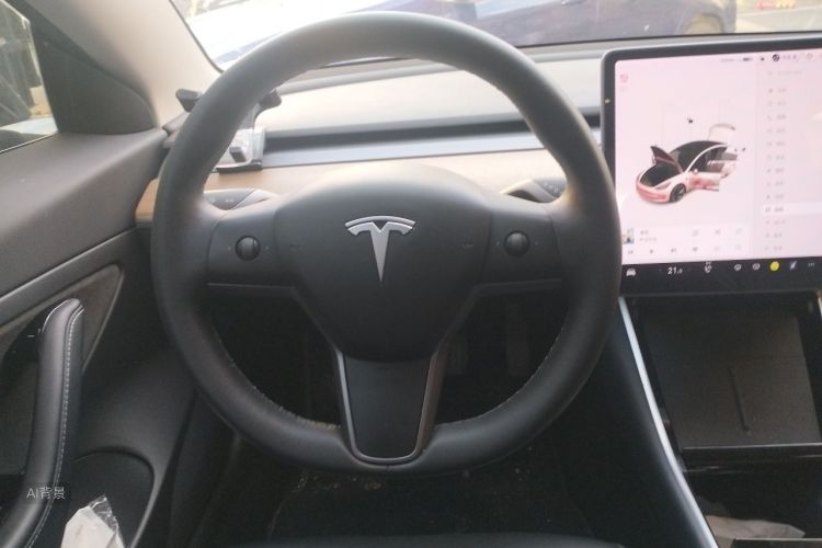 Tesla Model 3 2020 car image #12