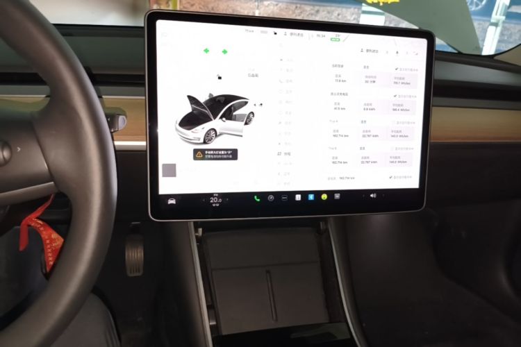 Tesla Model 3 2020 car image #13