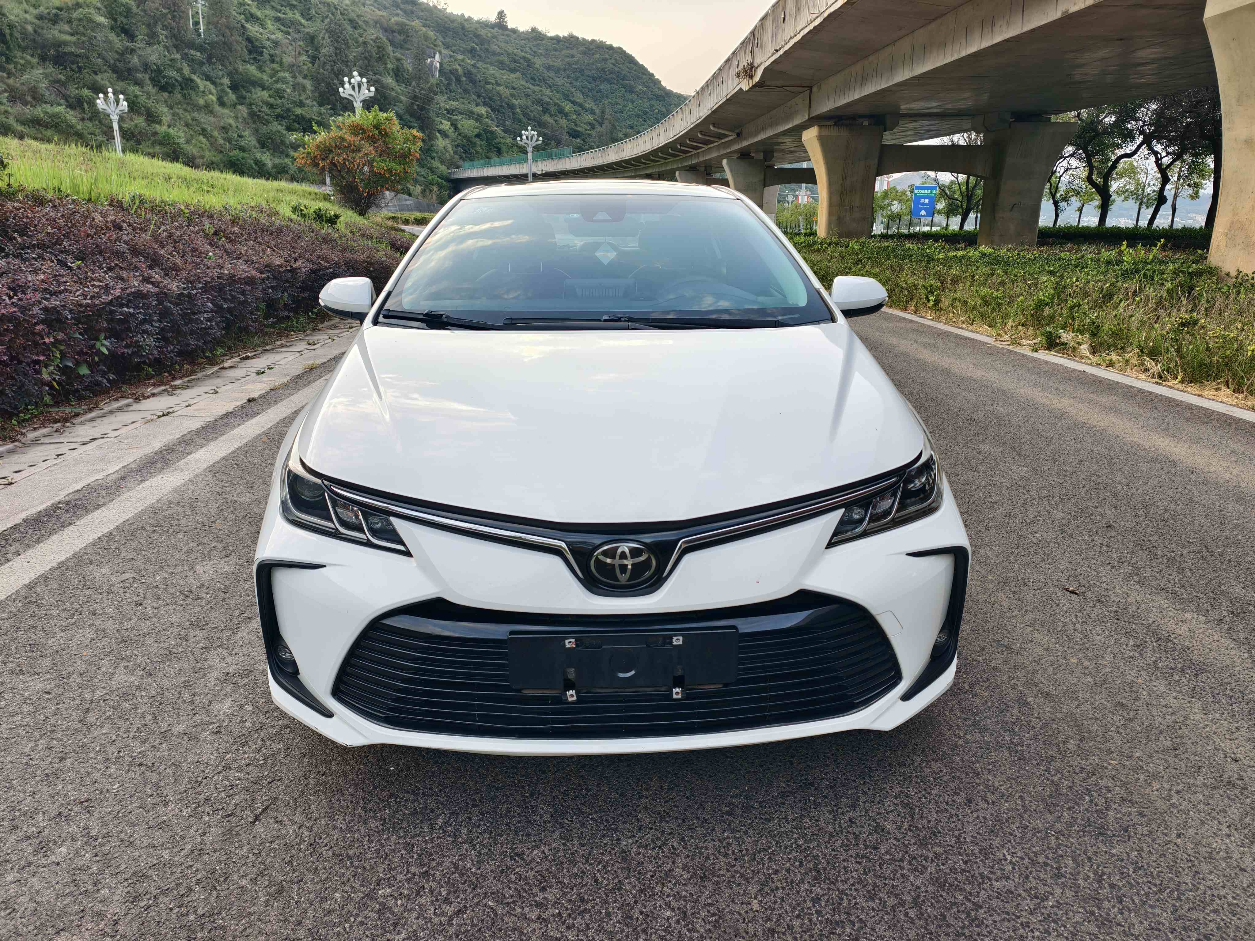 Toyota Corolla 2020 #8 Toyota Corolla 2020 car image #8