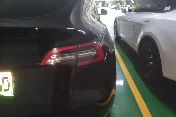 Tesla Model Y 2022 #8 Tesla Model Y 2022 car image #8