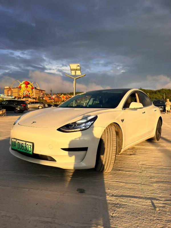 Tesla Model 3 2020 Tesla Model 3 2020 car image