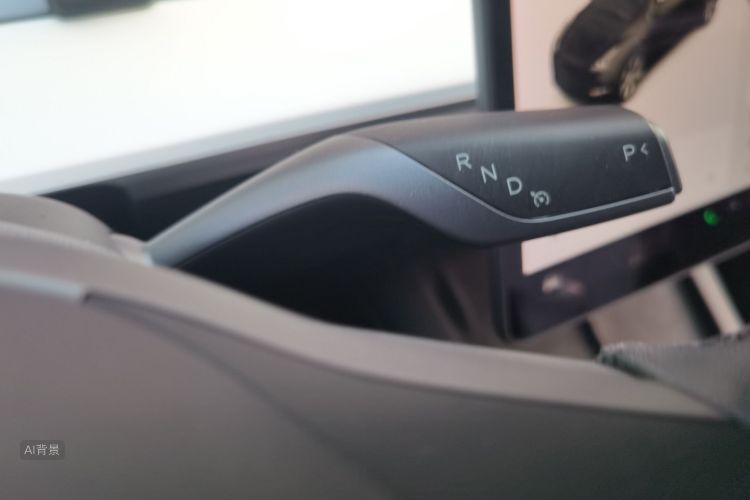 Tesla Model Y 2021 car image #16