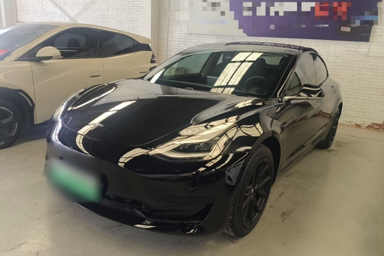 Tesla Model 3 2020 car image #2