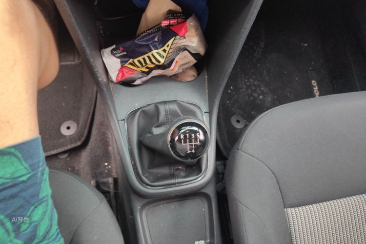 Volkswagen Polo 2016 car image #16