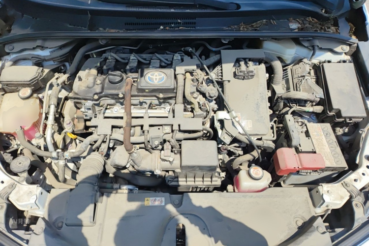Toyota Corolla 2021 car image #22