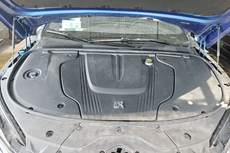 BYD Han 2022 car image #22