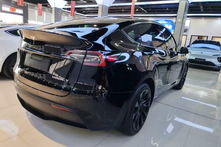 Tesla Model Y 2021 car image #7