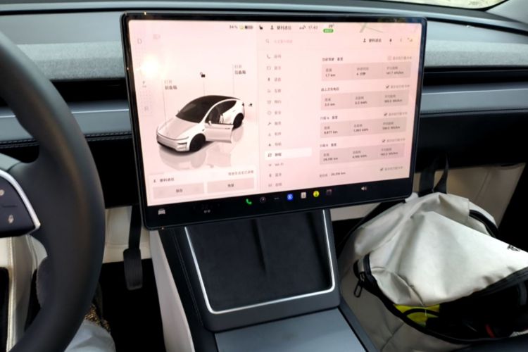 Tesla Model Y 2025 car image #13