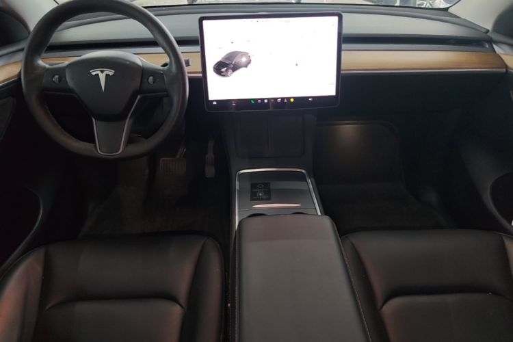Tesla Model Y 2021 car image #10