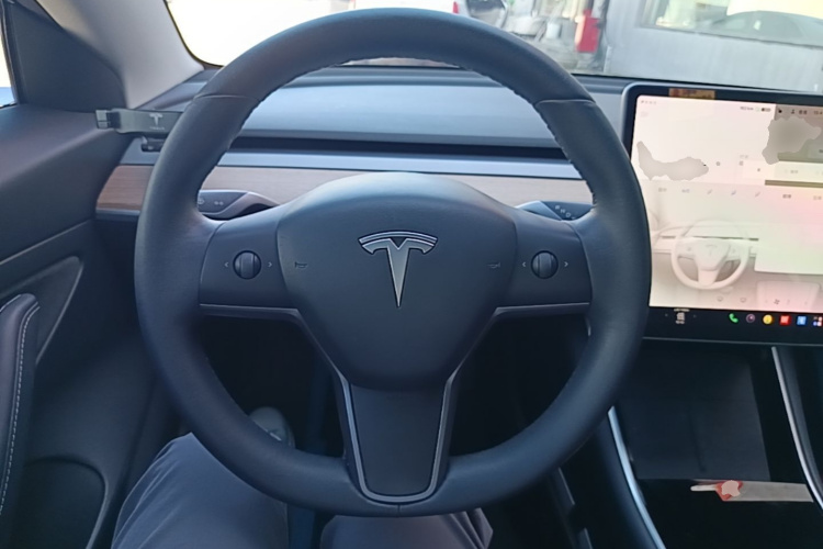 Tesla Model 3 2020 car image #17