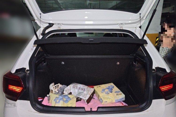 Volkswagen Polo 2019 car image #21