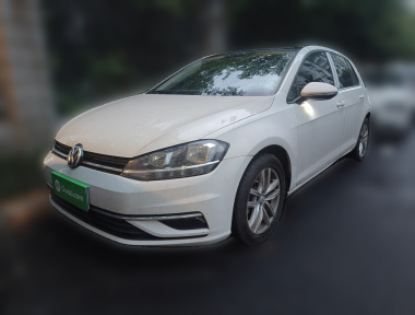 Volkswagen Golf 2019 Volkswagen Golf 2019 car image