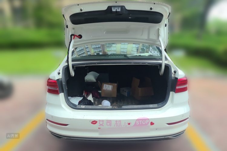 Volkswagen Lavida 2019 car image #21