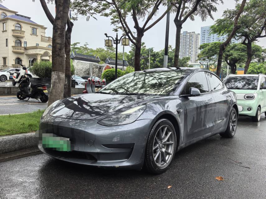 Tesla Model 3 2021 car image 
