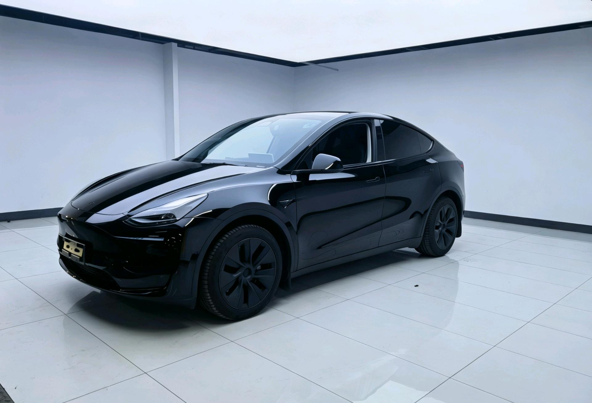 Tesla Model Y 2024 Tesla Model Y 2024 car image