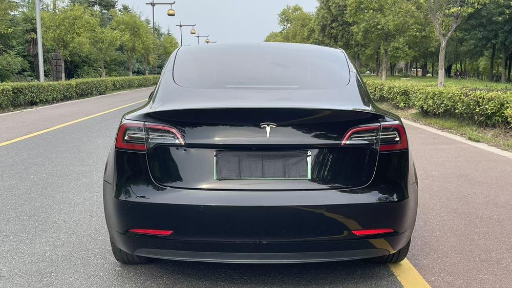 Tesla Model 3 2021 #5 Tesla Model 3 2021 car image #5