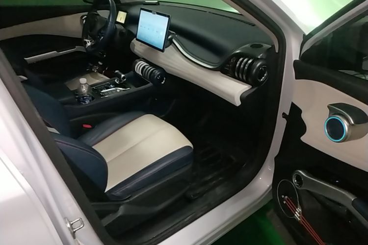 BYD Yuan Plus 2022 #25 BYD Yuan Plus 2022 car image #25