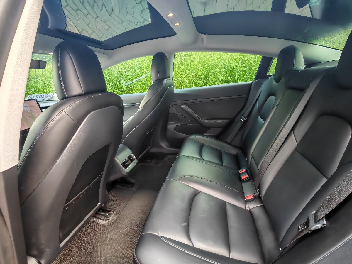Tesla Model 3 2020 #7 Tesla Model 3 2020 car image #7
