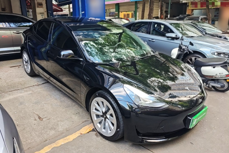 Tesla Model 3 2022 #6 Tesla Model 3 2022 car image #6
