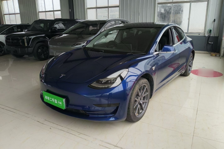 Tesla Model 3 2020 car image #2