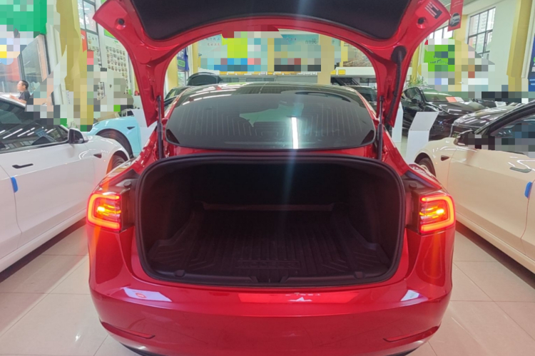Tesla Model 3 2020 #21 Tesla Model 3 2020 car image #21