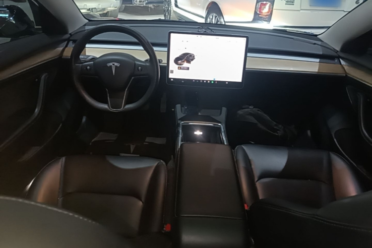 Tesla Model 3 2022 #10 Tesla Model 3 2022 car image #10