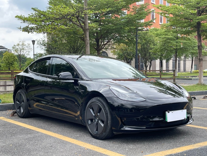 Tesla Model 3 2023 #3 Tesla Model 3 2023 car image #3