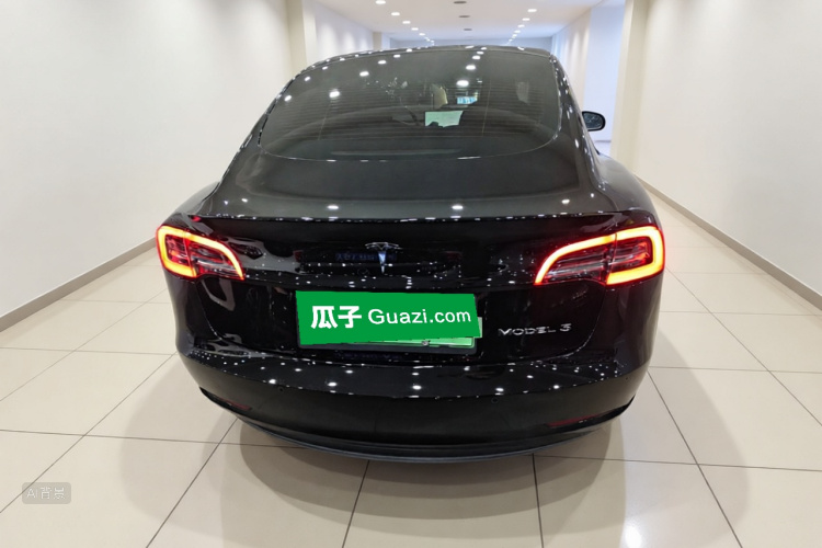 Tesla Model 3 2021 car image #6