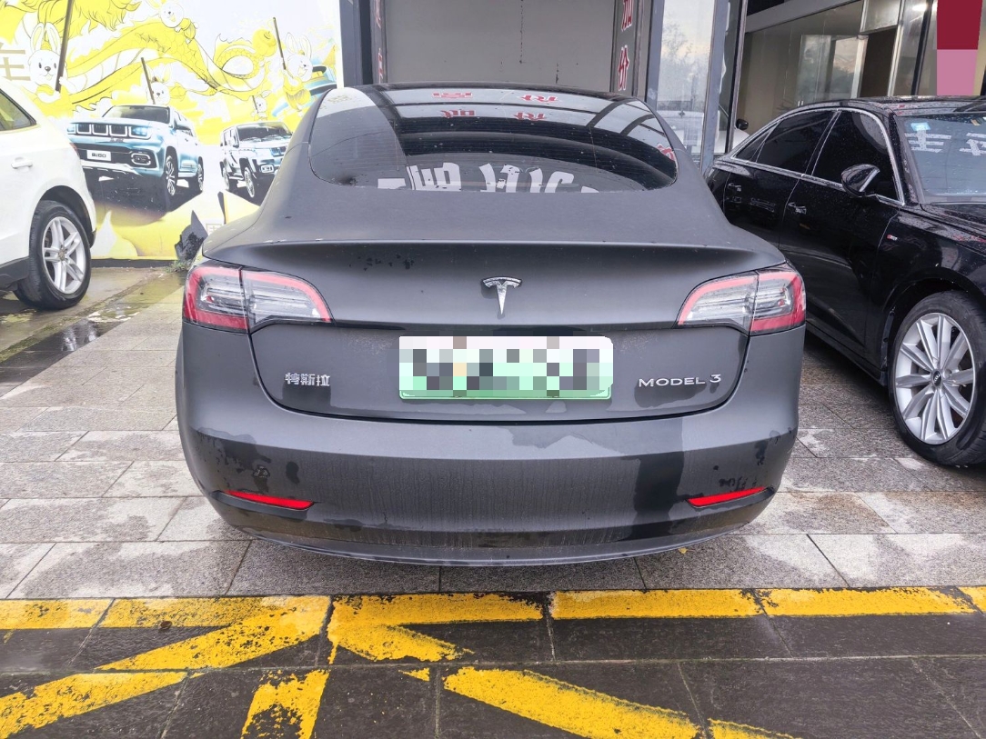 Tesla Model 3 2023 car image #6