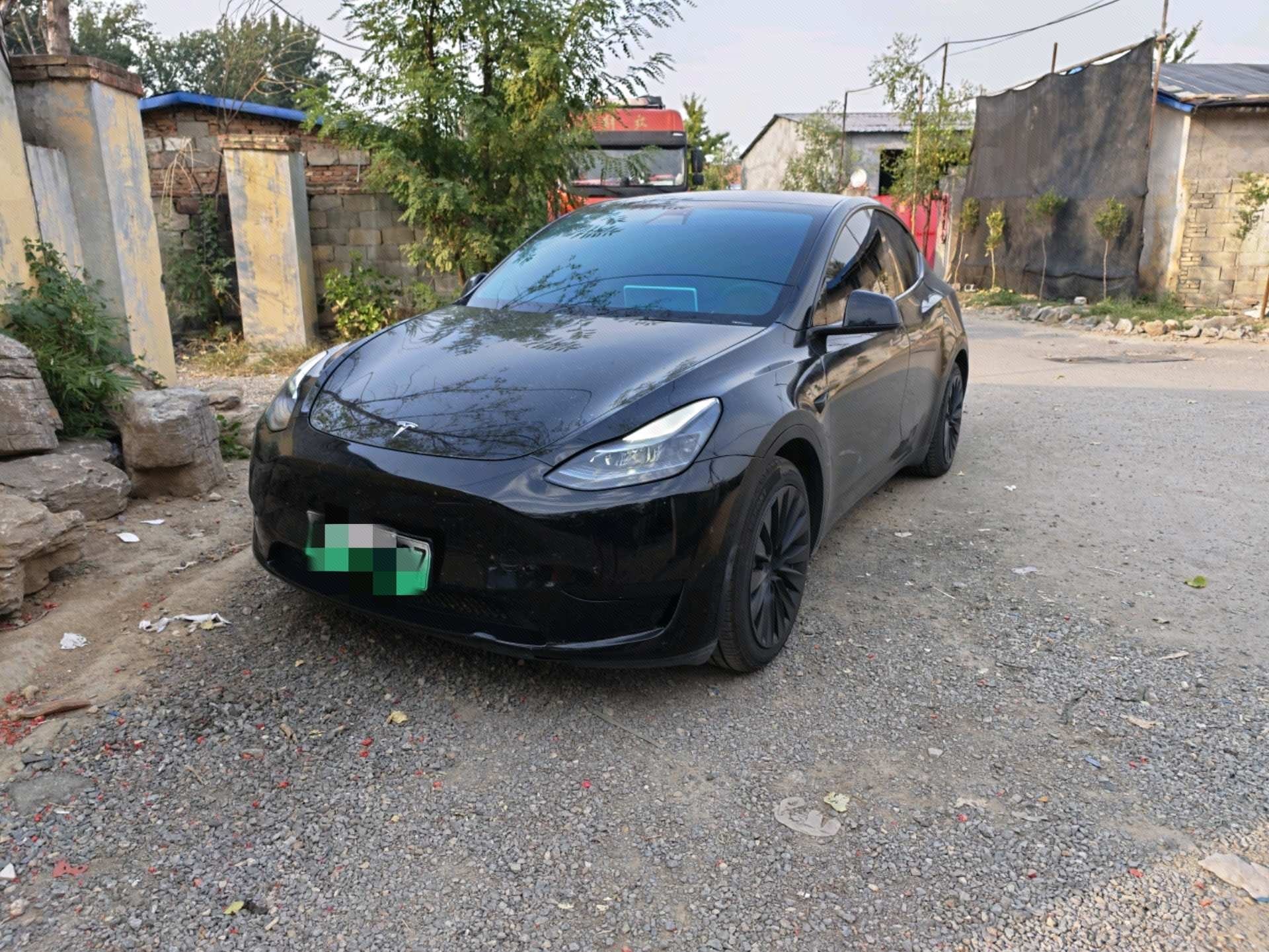 Tesla Model Y 2023 Tesla Model Y 2023 car image