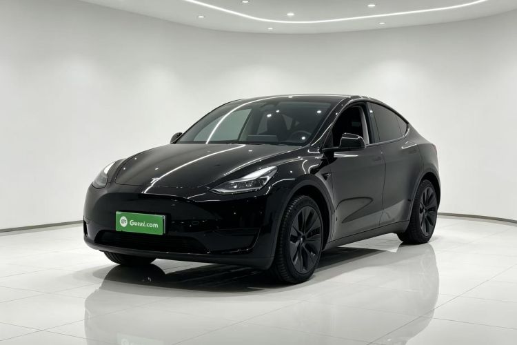 Tesla Model Y 2023 car image #2