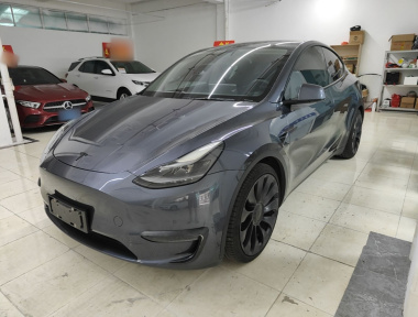 Tesla Model Y 2021 Tesla Model Y 2021 car image