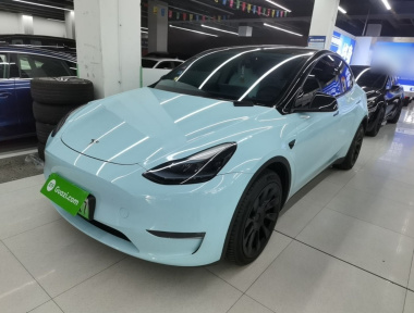 Tesla Model Y 2023 Tesla Model Y 2023 car image