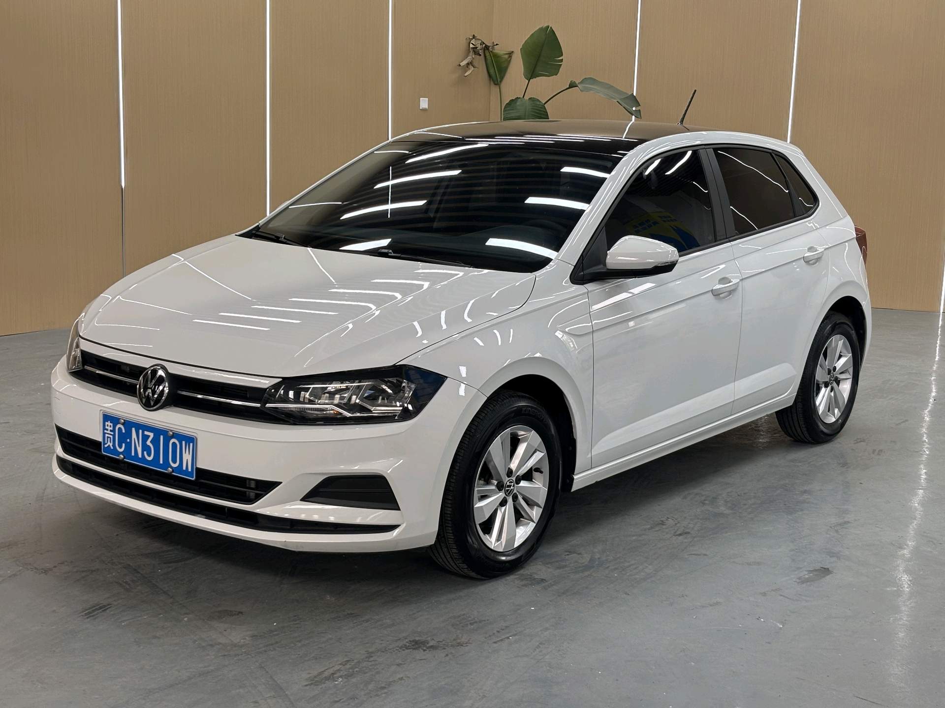 Volkswagen Polo 2024 Volkswagen Polo 2024 car image