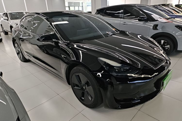 Tesla Model 3 2022 car image #4