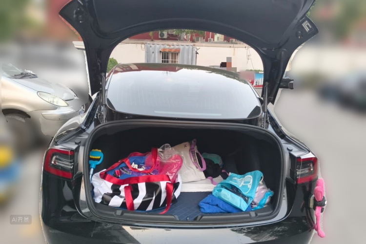 Tesla Model 3 2020 car image #21